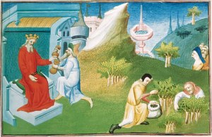 Taken from a 15th Century French manuscript, this illustration shows black pepper being harvested and presented to a king.